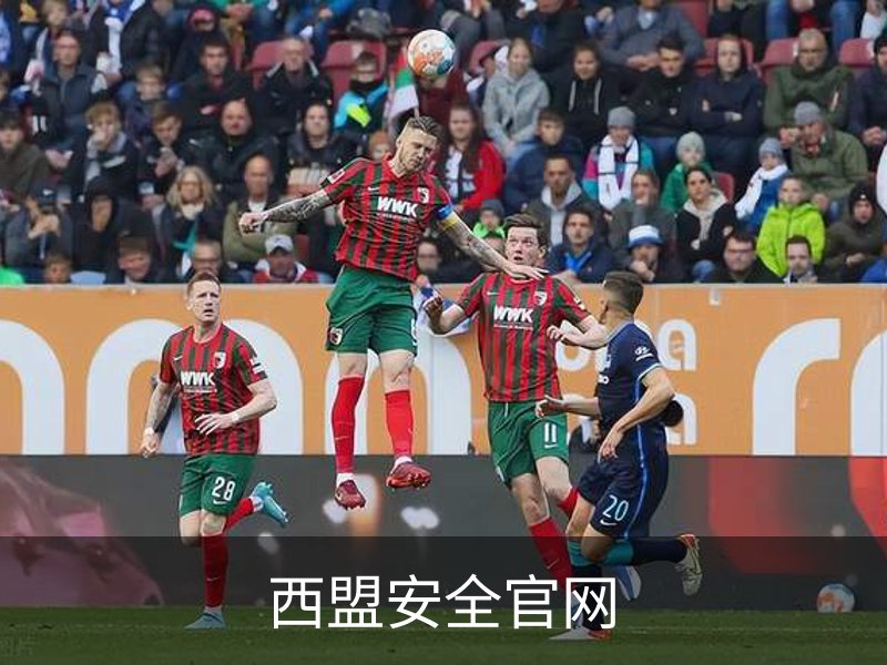 西盟安全官网介绍